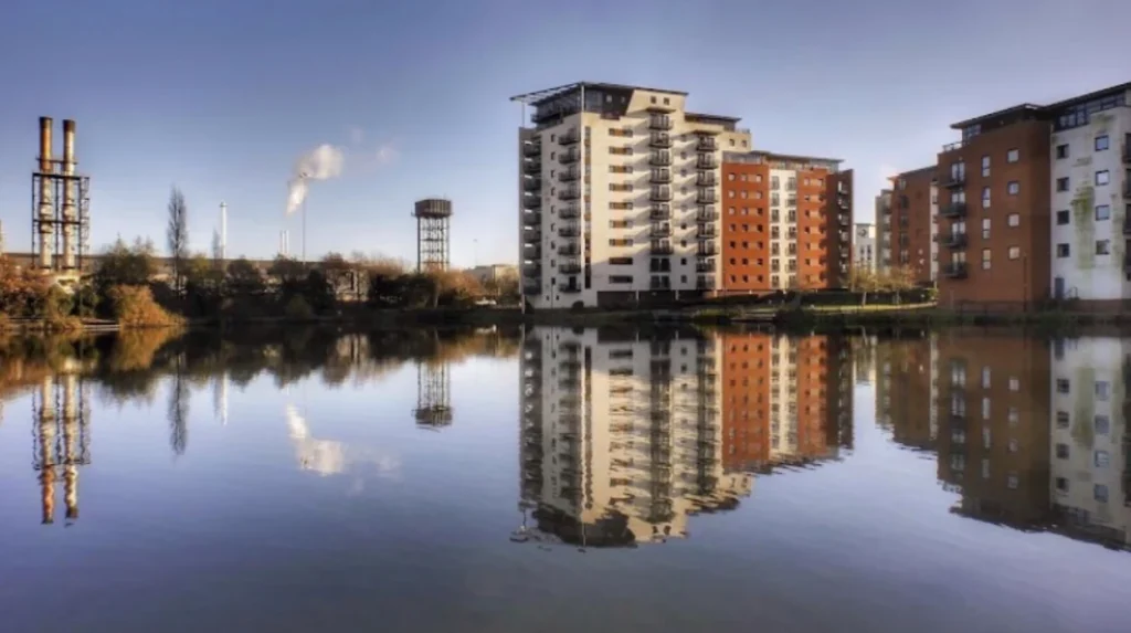 Grangetown Waste Woes: Dog Fouling to Fly-Tipping