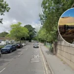 Helen Cook's Cardiff Home Demolished for Council Park 2026