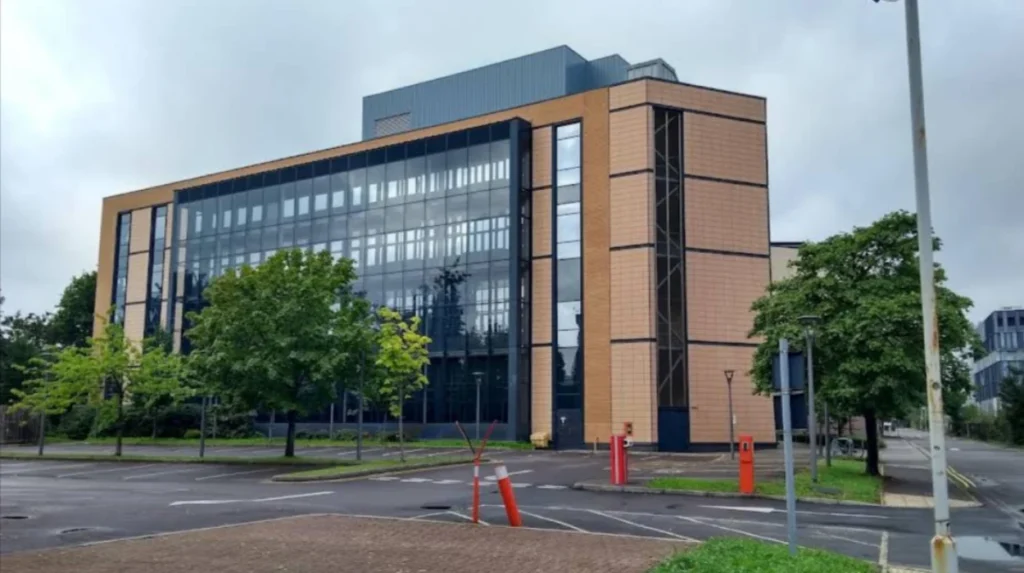 Historical Foundations of Learning