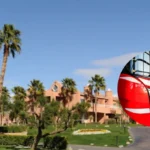 House fire dog rescue strains shelters Riverside 2026