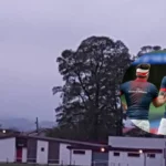 Ireland's Scannell Quits Rugby 2026