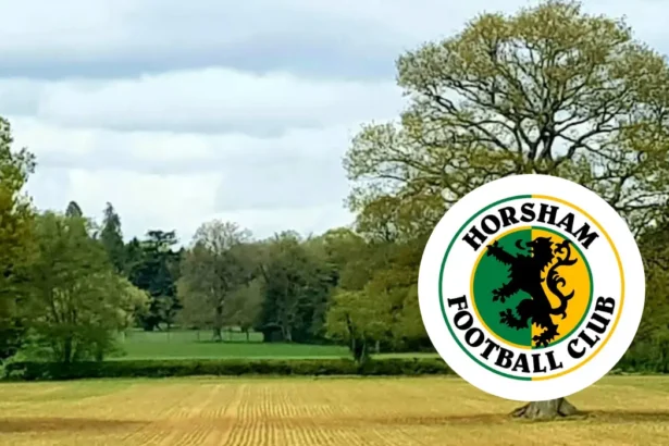 Mascots for Horsham vs Broadbridge Heath, 2026