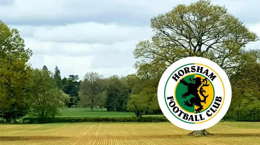 Mascots for Horsham vs Broadbridge Heath, 2026