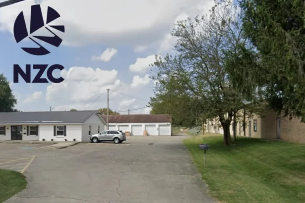 NZCPA Boss Mills Quits Before T20 Vote,Heath 2026