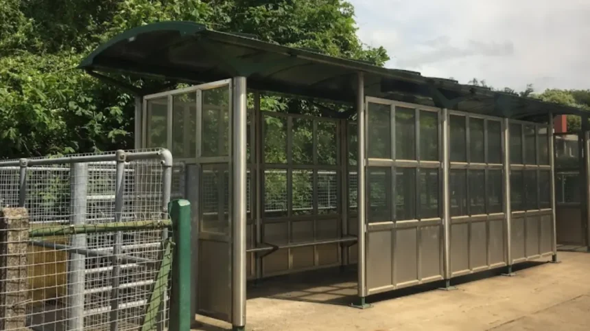 North Cardiff Bus Boost Rhiwbina Routes