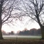 Parking Woes in Splott Disabled Demand Change