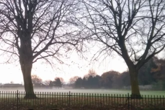 Parking Woes in Splott Disabled Demand Change