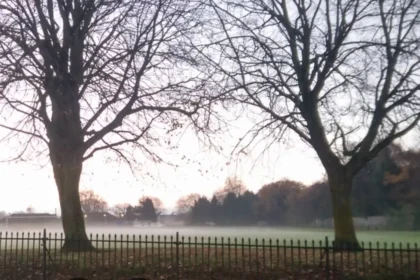 Parking Woes in Splott Disabled Demand Change