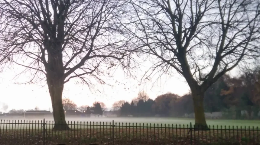 Parking Woes in Splott Disabled Demand Change