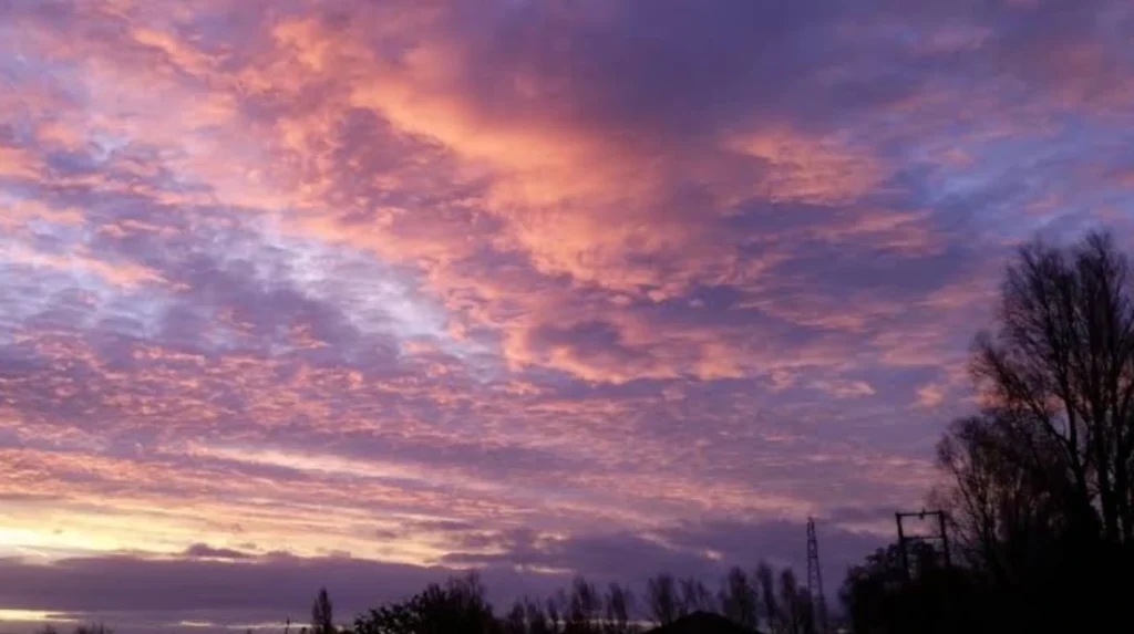 Rumney Traffic Nightmares: Cardiff's Endless Gridlock 