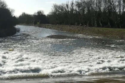 Pontcanna Development Debates