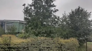 Rumney Waste Woes Cardiff's Rubbish Crisis