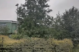 Rumney Waste Woes Cardiff's Rubbish Crisis