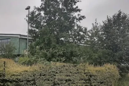 Rumney Waste Woes Cardiff's Rubbish Crisis