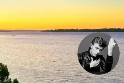 Stars' Awards After Death Ledger, BowieHeath, 2026