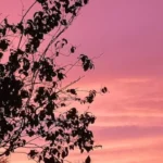 Tackling Anti-Social Behavior Splott's Community Fightback