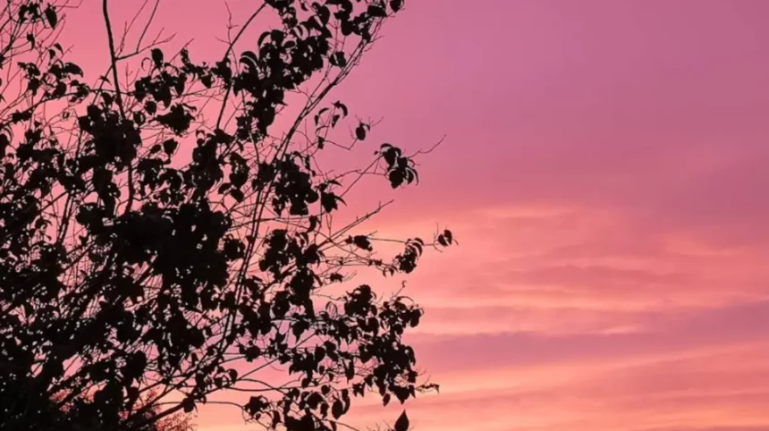 Tackling Anti-Social Behavior Splott's Community Fightback