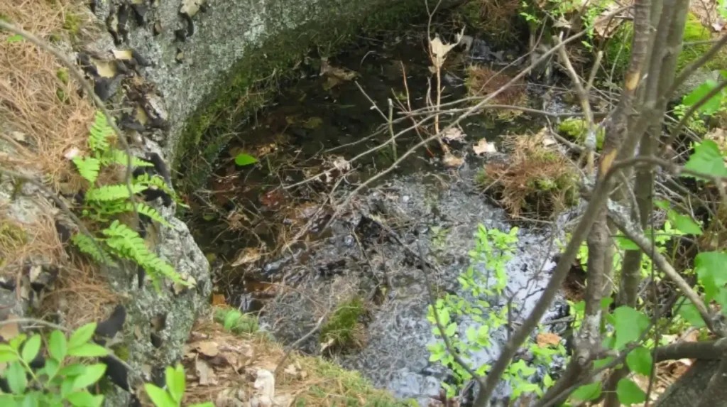 Rumney’s Endless Pothole Plague in Cardiff