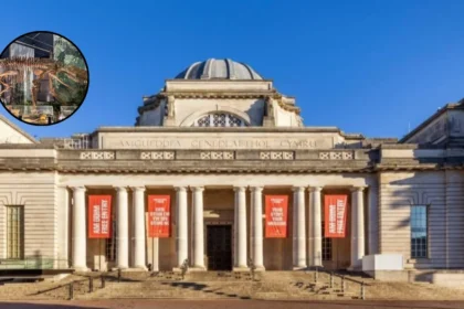 Top Museums in Cardiff: National, St Fagans & More