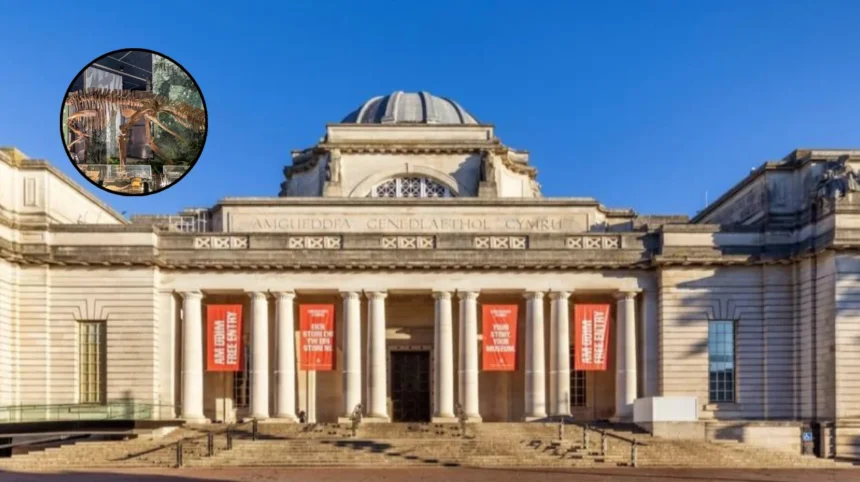 Top Museums in Cardiff: National, St Fagans & More