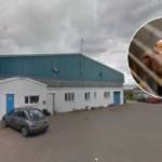 Welsh Rescue Charity Saves Four Dogs Dumped at Cardiff Dogs Home 2026