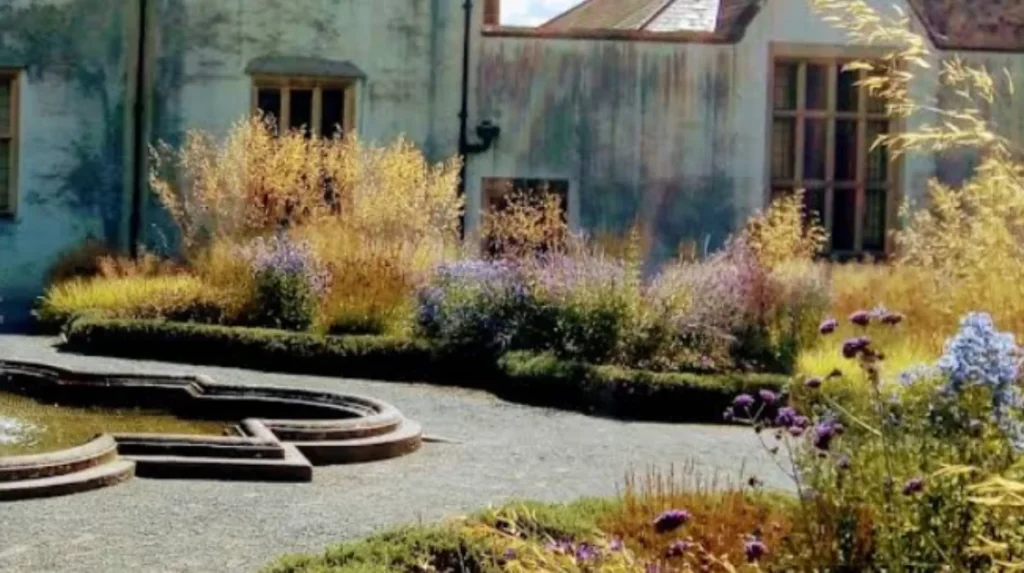 Empty Homes in Splott: Fixing Cardiff’s Housing Crisis