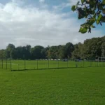 Why Splott Park Safety Remains a Top Concern