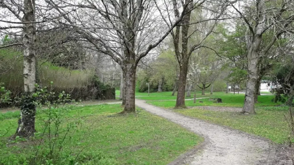 Biodiversity in Heath Park Cardiff 