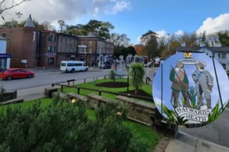 Young Artists Perform in Haywards Heath 2026