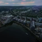 Bird Flu Cardiff What the Public Health Advice Actually Says