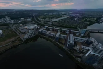 Bird Flu Cardiff What the Public Health Advice Actually Says