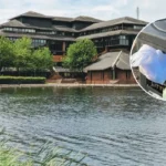 Cardiff Council Bin Removal Sparks Bute Park Waste Row, 2026