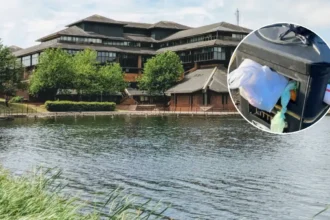 Cardiff Council Bin Removal Sparks Bute Park Waste Row, 2026