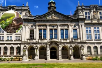 Cardiff Lends Expertise to EUROSION Soil Network 2026