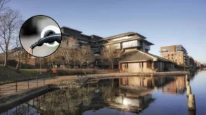 Cardiff PLUG Charging Launches 80 Lamp Column EV Pilot; Cardiff 2026