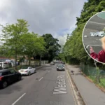 Cardiff Parks Overflowing Bins: Dog Poo, Litter Hazards, Cardiff 2026