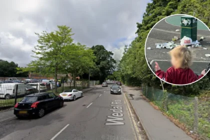 Cardiff Parks Overflowing Bins: Dog Poo, Litter Hazards, Cardiff 2026