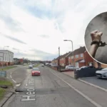 Cardiff man arrested with drugs and Sur‑Ron bike in Ely 2026