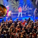 Cardiff music memories project launches for volunteers 2026