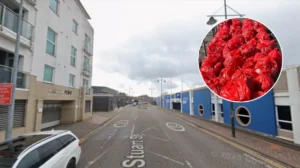 Children's Car Seats, Rubber Ducks Found in Cardiff Bay Clean-Up 2026