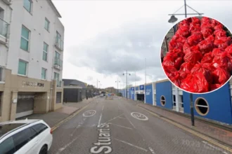 Children's Car Seats, Rubber Ducks Found in Cardiff Bay Clean-Up 2026