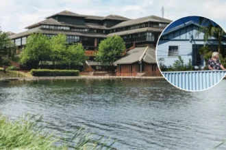 Council Open to Helen Cook Staying in Cardiff Home (2026)