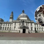 Dead Dog, Neglected Kids Found in Cardiff Home (2026)