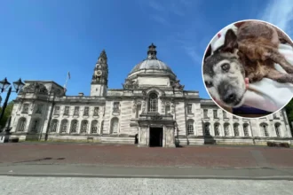 Dead Dog, Neglected Kids Found in Cardiff Home (2026)