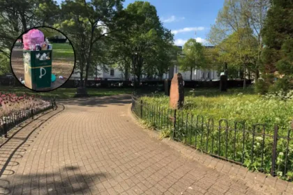 Gorsedd Gardens Bins Overflow After Sunny Picnics, Cardiff 2026