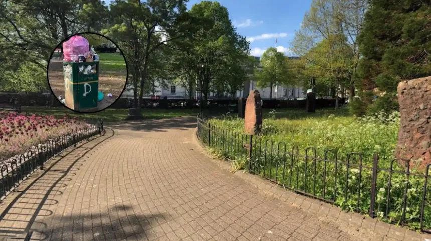 Gorsedd Gardens Bins Overflow After Sunny Picnics, Cardiff 2026