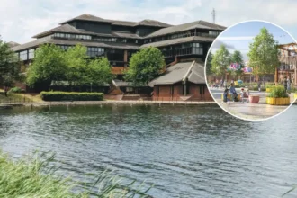 Homes Demolished for Cardiff Park, Lake Macquarie 2026