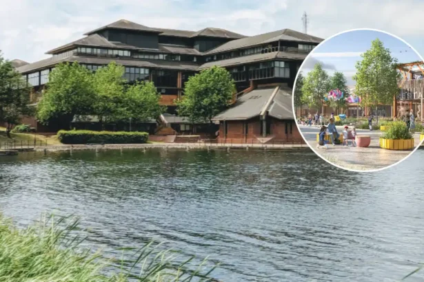 Homes Demolished for Cardiff Park, Lake Macquarie 2026