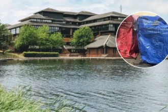 How to Book Cardiff Recycling Slots: Council Rules (Cardiff, 2026)