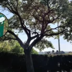 Overflowing dog poo bins in Cardiff parks a hazard, say parents 2026